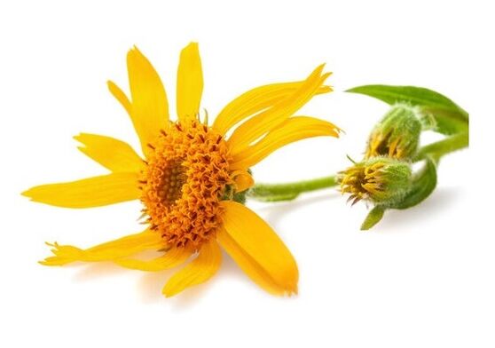 Depanten contains mountain arnica